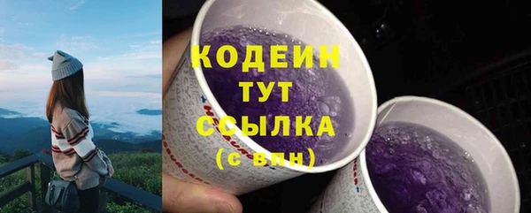 ECSTASY Кодинск